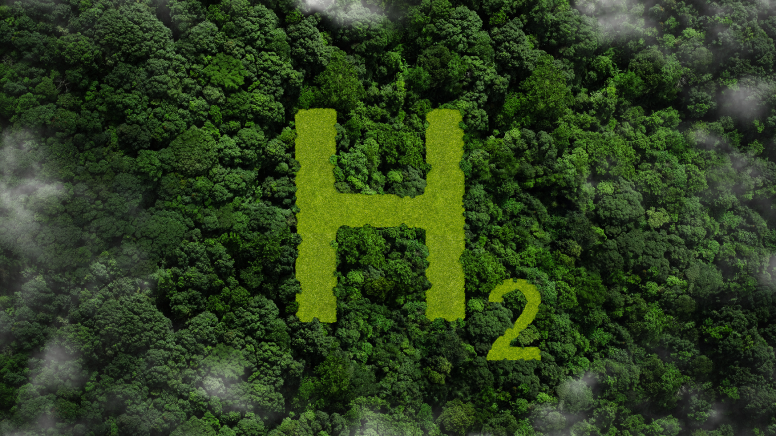 Green hydrogen japan