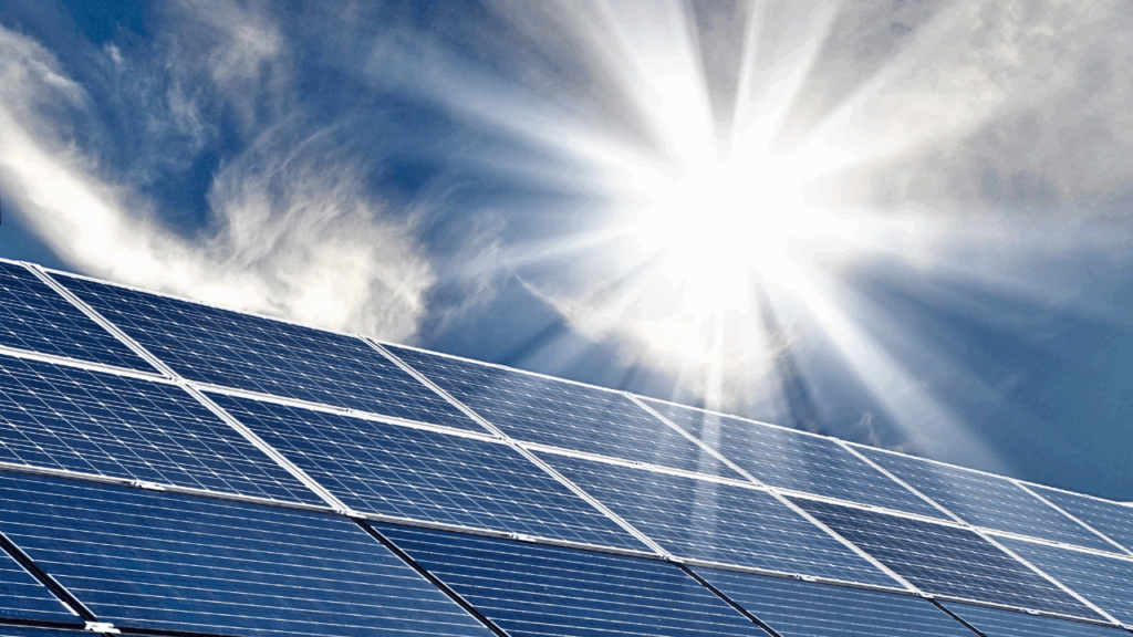 April 2025 Monthly Newsletter: The Latest News In The Japanese Power Market