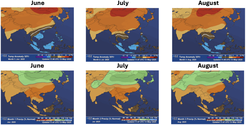 Figure 2. Summer 2025 monthly breakdown of temperature (top row) and precipitation (bottom row) anomalies across the Asia Pacific region and Japan. 