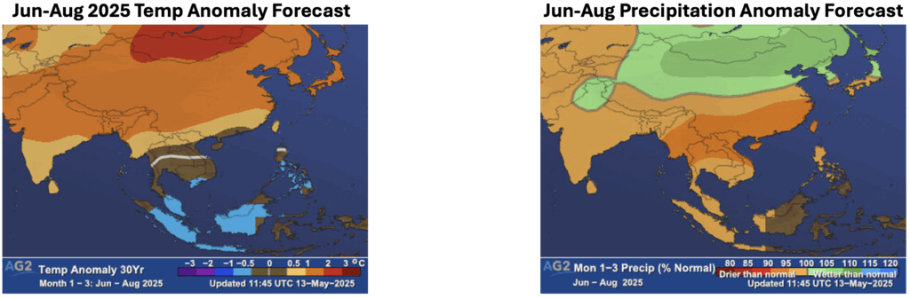 Figure 1. Summer 2025 temperature anomaly forecast (left) and precipitation anomaly forecast (right) across the Asia Pacific region and Japan.