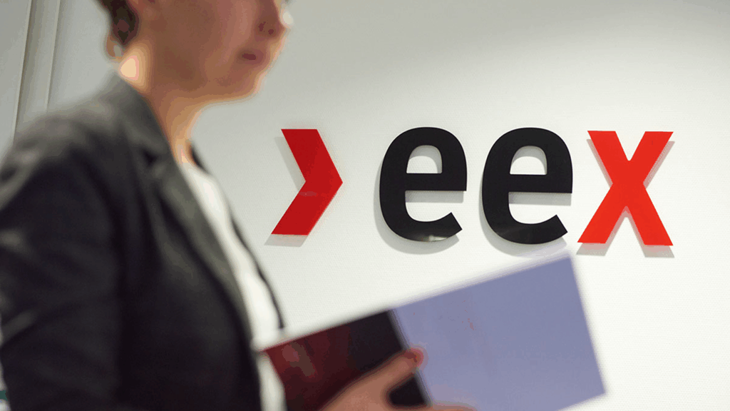 EEX offers futures contracts (weekly, monthly, quarterly, seasonal, annual) in Tokyo and Kansai, with daily and weekend contracts in Tokyo. Baseload and peakload products are available. Daily contracts hedge short-term price risks, with demand expected to rise due to renewable energy-driven spot market volatility. EEX will consider Kansai daily contracts and new regions based on market needs.
