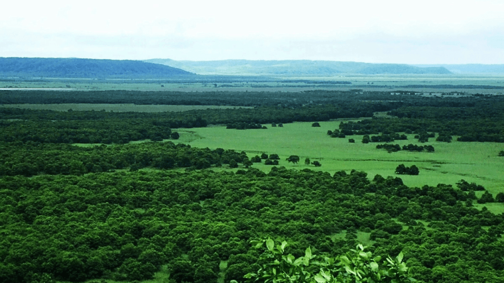 The local environmental impact of large solar projects has drawn criticism in several regions, including a recent case near Kushiro Shitsugen National Park in Hokkaido. 