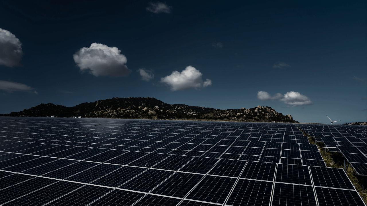 Japan Seeks to Balance Renewable Growth With Environmental and Regional Considerations