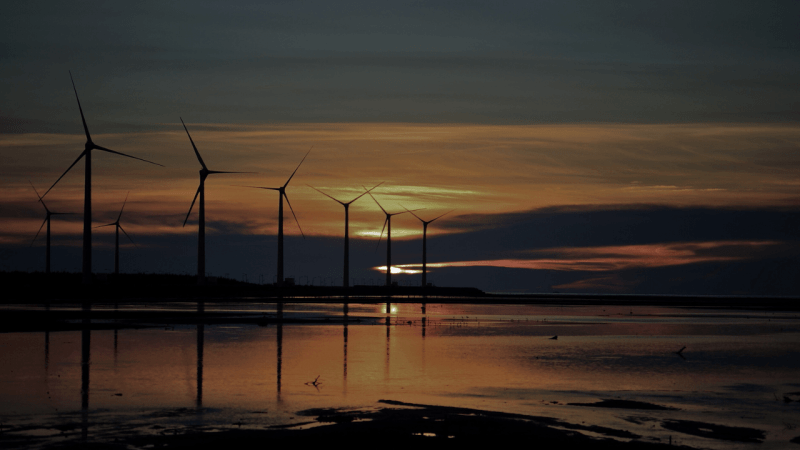 Japanese Government’s Growing Leadership Role in the Offshore Wind Market